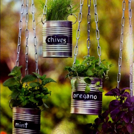 Coffee Can Planters