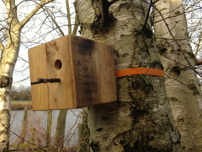 Wood Pallet Bird House