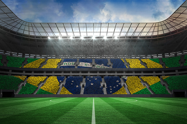 Soccer Stadium Field - World Cup