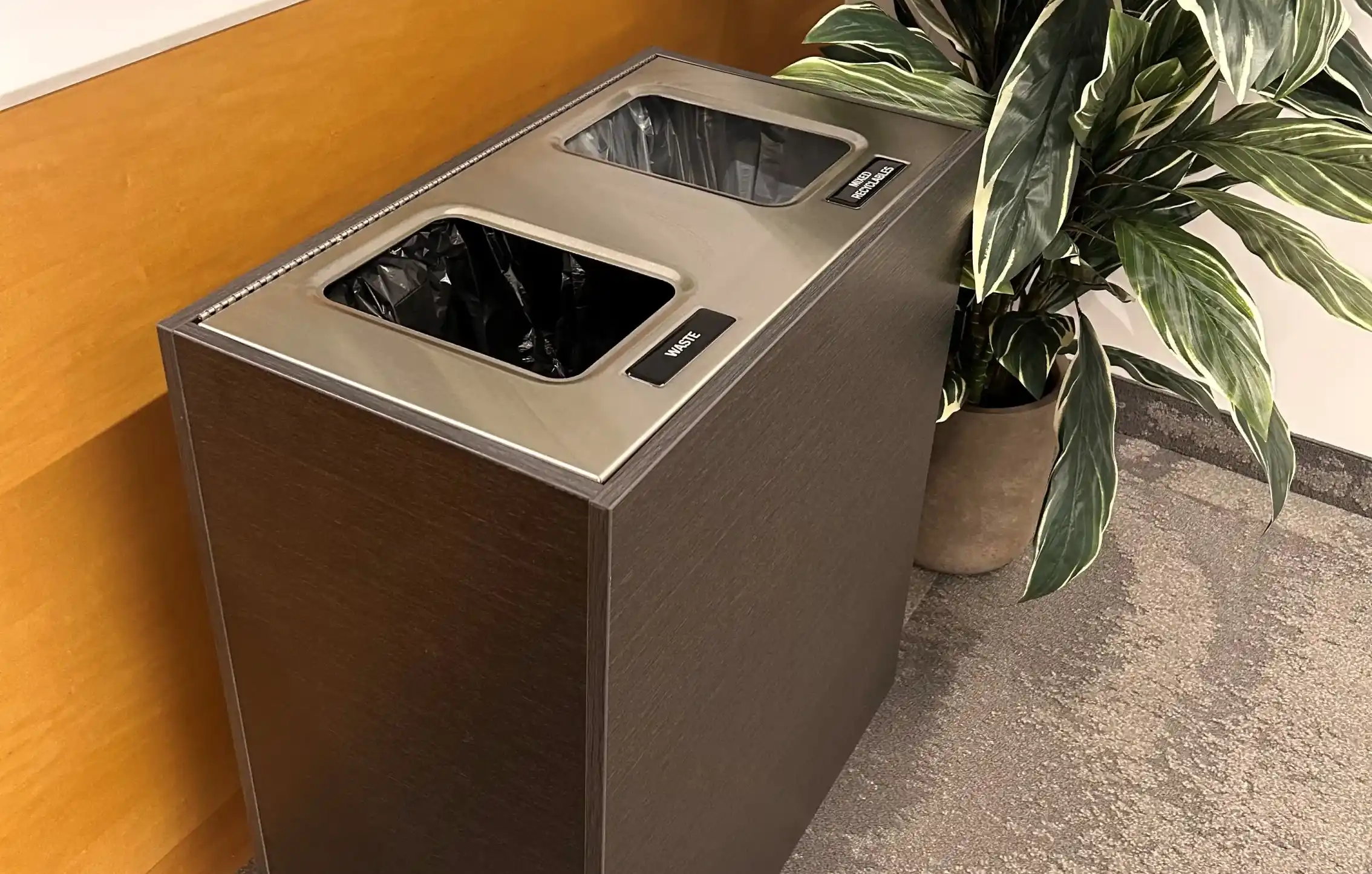 Aristata Tier IV Western Breeze Double Stream