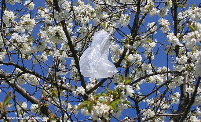 How To Eliminate Disposable Shopping Bags