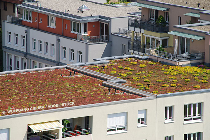 Corporate Social Responsibility: Examining The Energy Efficiency of Flat Roofs