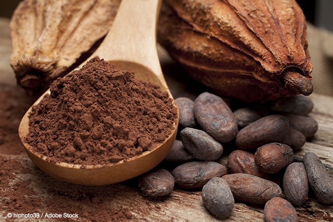The Magical Cacao: Models for Corporate Sustainability