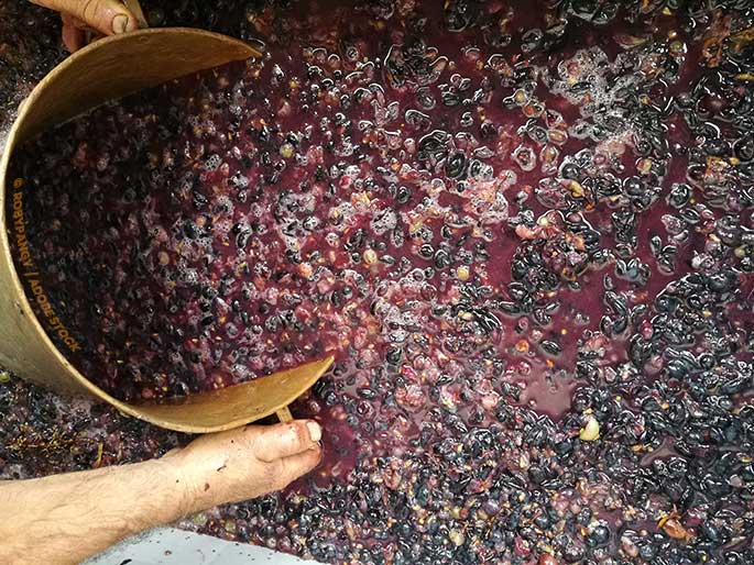 Cutting down on food waste with grape pomace