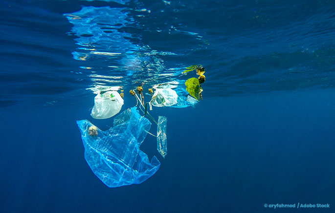 2 Easy Ways to Reduce Plastic Pollution