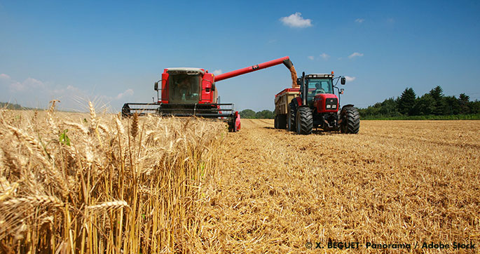 A Circular Food Economy Could Save Money, Health and the Environment