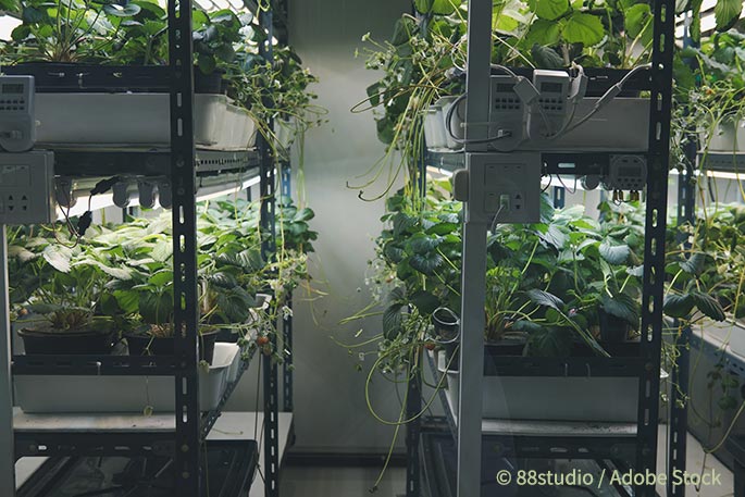Could Shipping Container Farms Grow Local, and Avoid Waste?