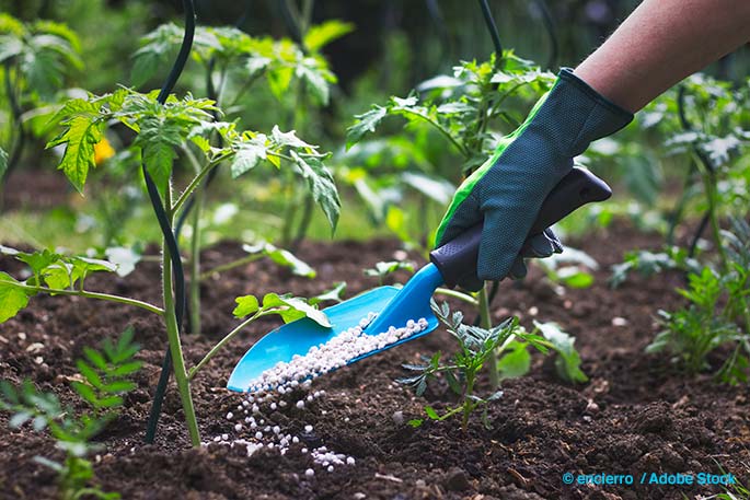 New York City Startup Plans to Turn Food Waste Into Fresh Fertilizer